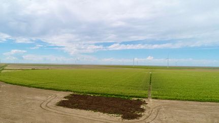 Land for sale in Hansford County, Texas