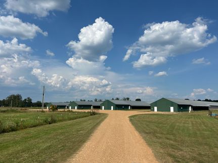 Land for sale in Hempstead County, Arkansas