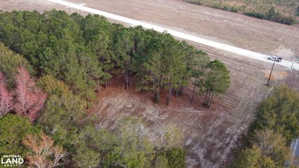 Timberland Property in Berkeley County, South Carolina