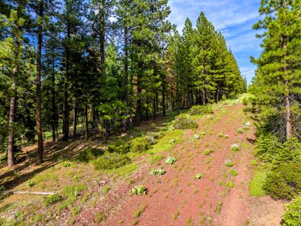Timberland Property for sale in Modoc County, California