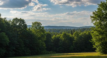 Land for sale in Limestone County, Texas