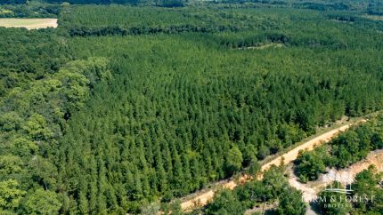 Land for sale in Holmes County, Florida