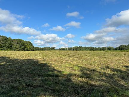 Hunting Property in Bartow County, Georgia