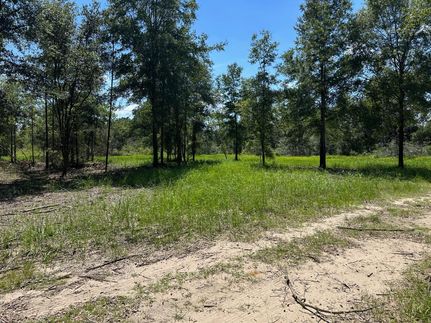 Land for sale in Mobile County, Alabama