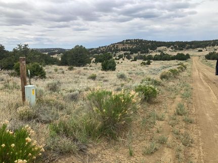 Undeveloped Land for sale in Catron County, New Mexico