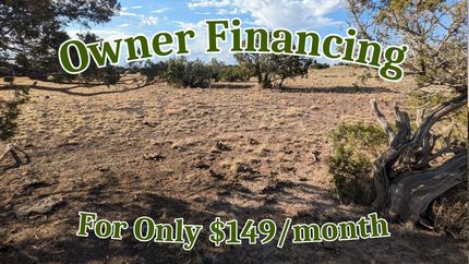 Land for sale in Apache County, Arizona