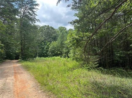 Land for sale in Dawson County, Georgia