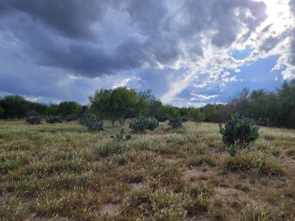 Land for sale in Zapata County, Texas