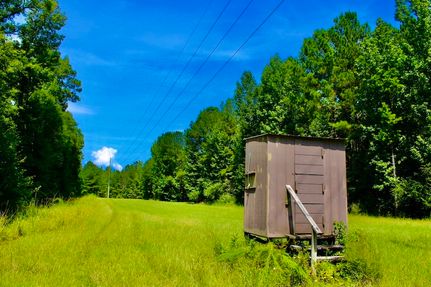 Land for sale in Marion County, Mississippi