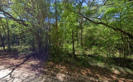Undeveloped Land in Suwannee County, Florida