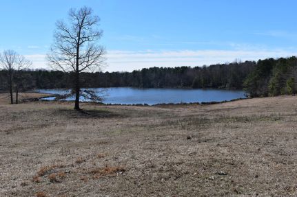 Recreational Property for sale in Saline County, Arkansas