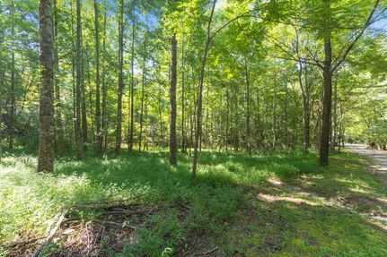 Farm and Ranch for sale in Swain County, North Carolina