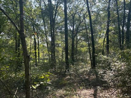 Land for sale in Mobile County, Alabama