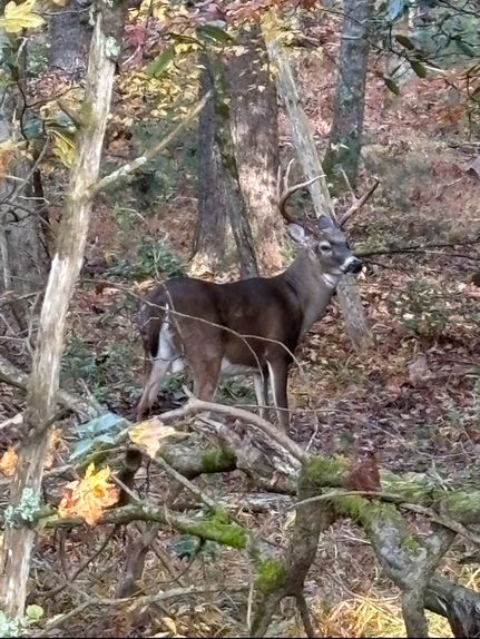 Recreational Property for sale in Grady County, Georgia