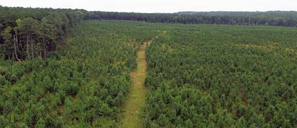 Land for sale in Amelia County, Virginia