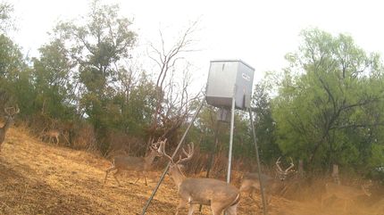 Land in Lampasas County, Texas