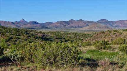 Undeveloped Land for sale in Brewster County, Texas