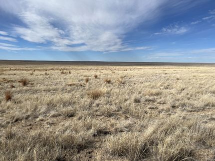 Land for sale in Prowers County, Colorado