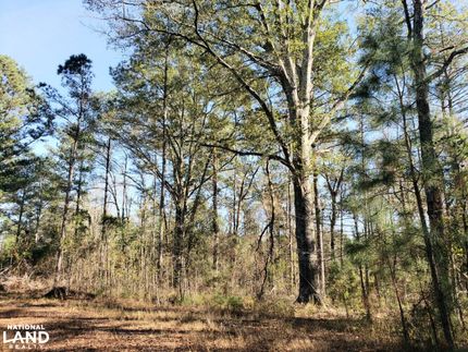 Recreational Property in Bullock County, Alabama