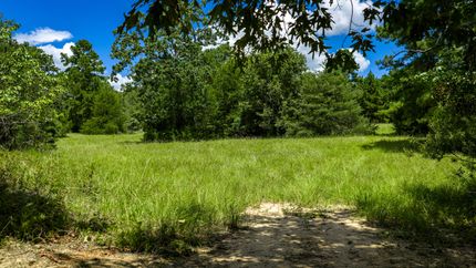 Undeveloped Land for sale in Madison County, Texas