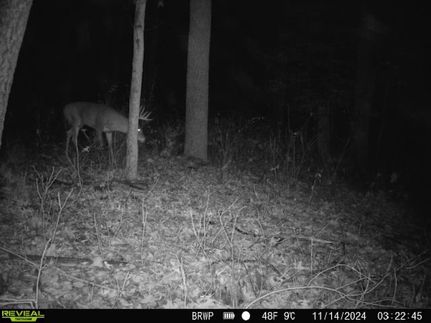 Farm and Ranch in Rock Island County, Illinois