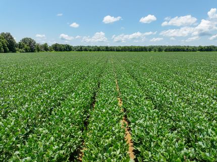 Land for sale in Arkansas County, Arkansas