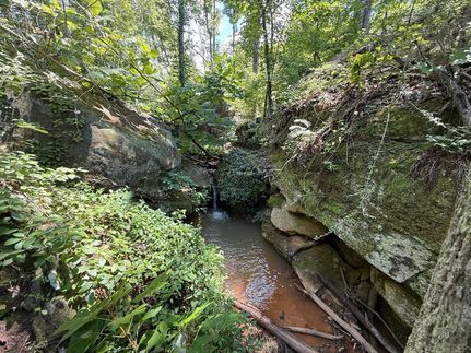 Farm and Ranch for sale in Marion County, Alabama