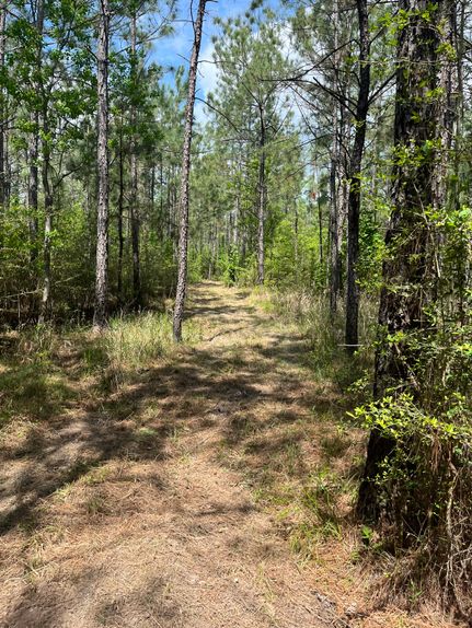 Undeveloped Land for sale in Rapides Parish, Louisiana