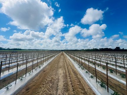 Undeveloped Land for sale in Decatur County, Georgia