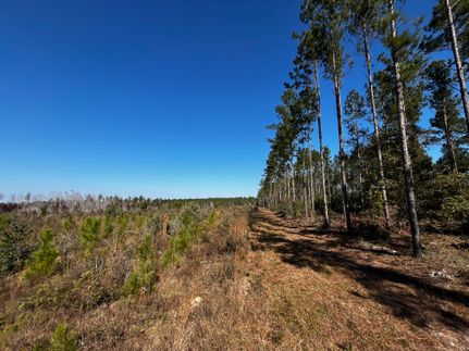 Farm and Ranch for sale in Jackson County, Florida