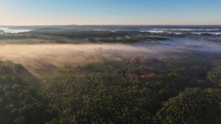 Farm and Ranch for sale in Sabine County, Texas
