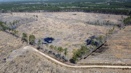 Recreational Property for sale in Colleton County, South Carolina