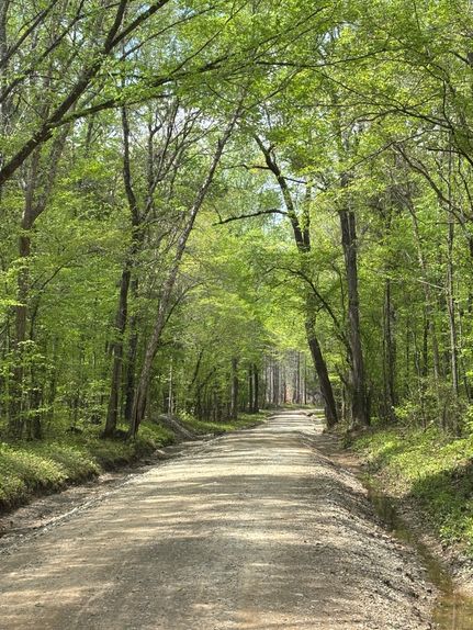 Farm and Ranch for sale in Fairfield County, South Carolina