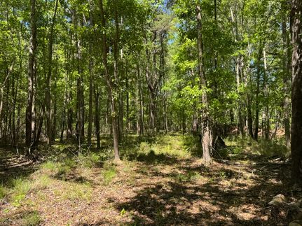 Recreational Property for sale in Colleton County, South Carolina