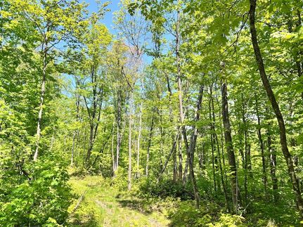 Undeveloped Land in Vilas County, Wisconsin