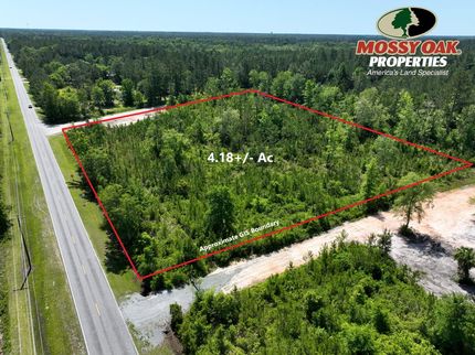 Undeveloped Land in Camden County, Georgia