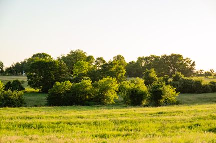 Undeveloped Land for sale in Austin County, Texas