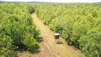 Farm and Ranch for sale in Dillon County, South Carolina