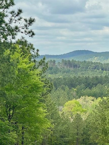 Undeveloped Land in McCurtain County, Oklahoma