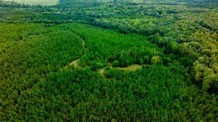 Farm and Ranch for sale in Macon County, Georgia