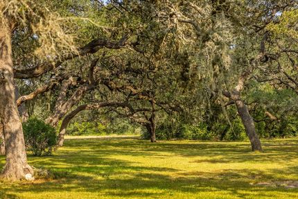 Timberland Property for sale in Lavaca County, Texas