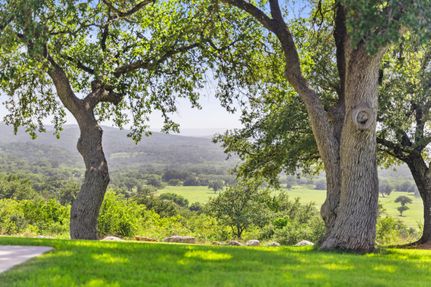 Undeveloped Land for sale in Blanco County, Texas