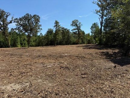 Undeveloped Land for sale in Bartow County, Georgia