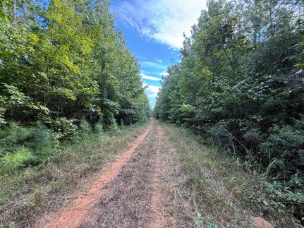 Timberland Property for sale in Marengo County, Alabama
