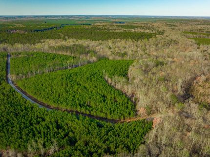 Timberland Property in Chester County, South Carolina