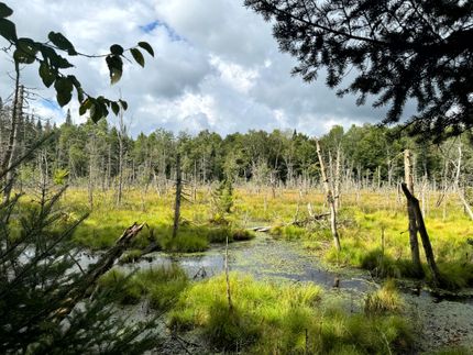 Undeveloped Land for sale in Herkimer County, New York
