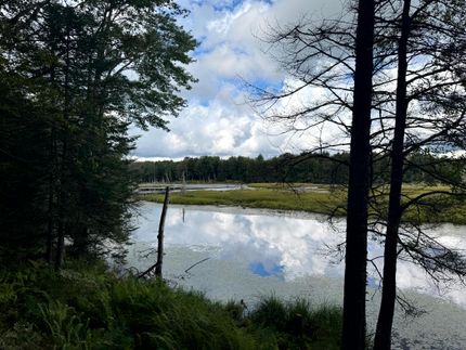 Farm and Ranch for sale in Herkimer County, New York