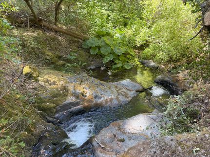 Undeveloped Land for sale in Nevada County, California