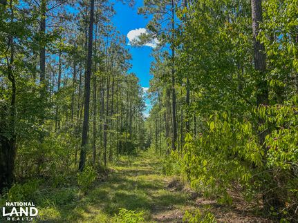 Recreational Property for sale in Wilcox County, Alabama