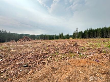 Land for sale in Lewis County, Washington